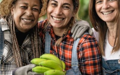 Nutriendo el Futuro/Productores